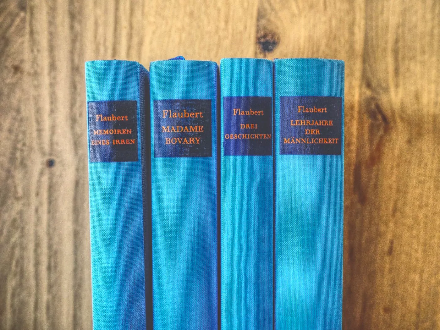 Gustave Flaubert - Memoiren eines Irren