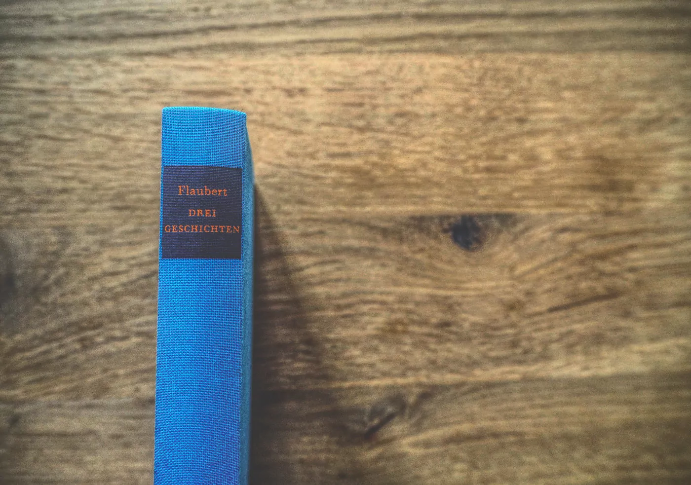 Gustave Flaubert – Drei Geschichten