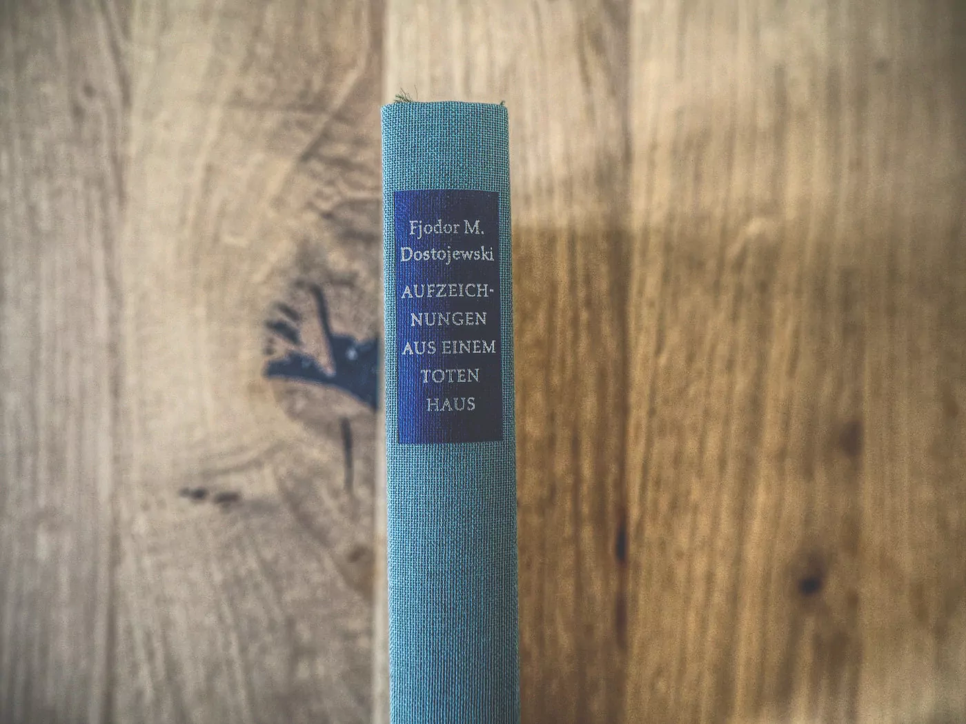 Buch Dostojewski Aufzeichnungen aus einem toten Haus Titelschild