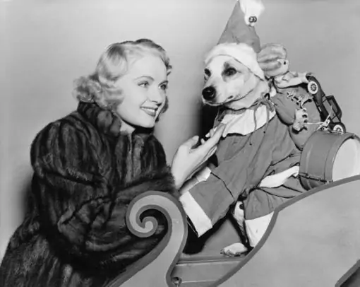 Eine Frau im Weihnachtsmann-Outfit mit einem Hund auf einem Schlitten.