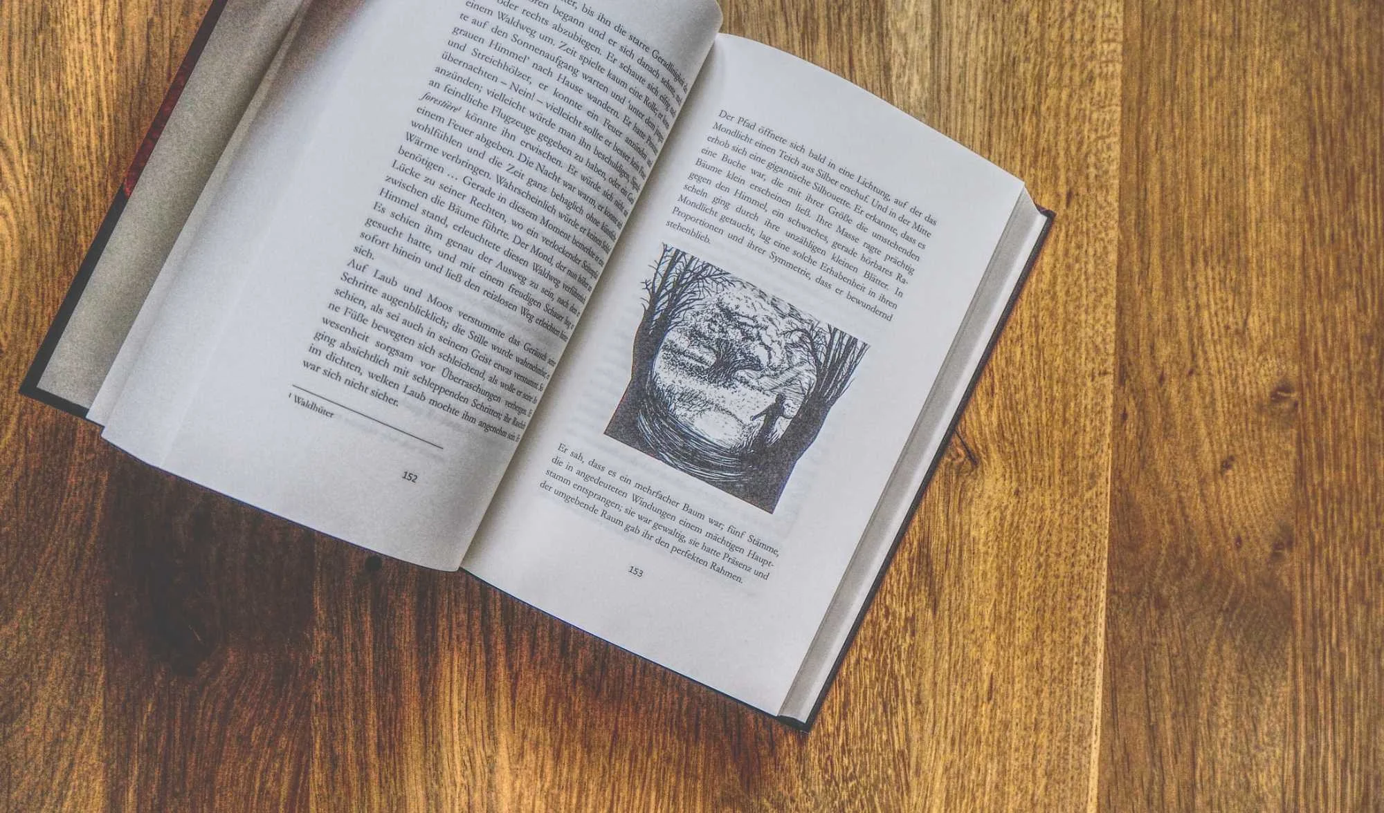 Ein aufgeschlagenes Buch auf einer hölzernen Unterlage, das eine Textseite und eine Schwarz-Weiß-Illustration eines von Bäumen umgebenen Gesichts zeigt.