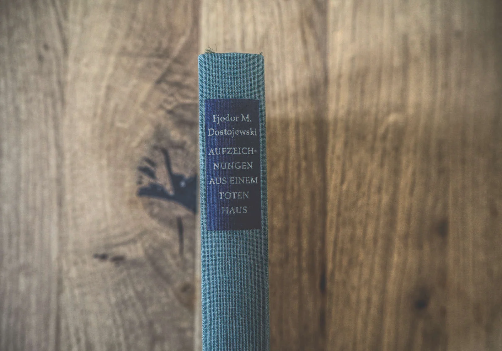 Ein blaues Hardcover-Buch mit dem Titel „Aufzeichnungen aus einem toten Haus“ von Fjodor M. Dostojewski steht aufrecht auf einer Holzoberfläche.