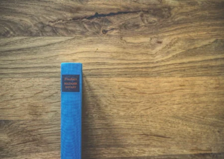 Ein Exemplar von „Madame Bovary“ von Flaubert mit blauem Einband und auf dem Buchrücken sichtbarem Titel, aufrecht stehend auf einer Holzoberfläche.