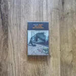 Ein Buch mit dem Titel "Balzac Glanz und Elend der Kurtisanen" liegt geschlossen auf einer Holzplatte.