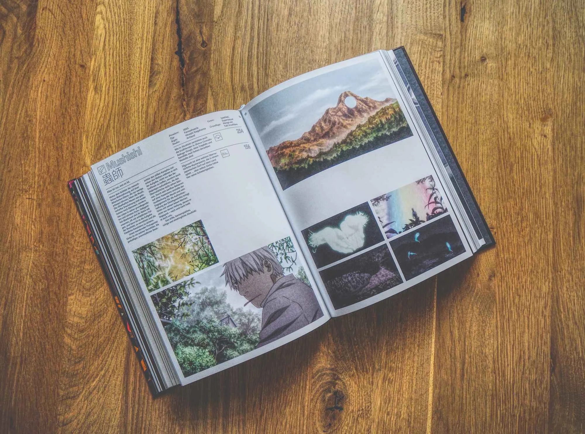 Ein aufgeschlagenes Buch auf einer Holzoberfläche zeigt eine Seite mit Text, Illustrationen und mehreren farbigen Bildern, darunter Berge, Naturszenen und eine animierte Figur.