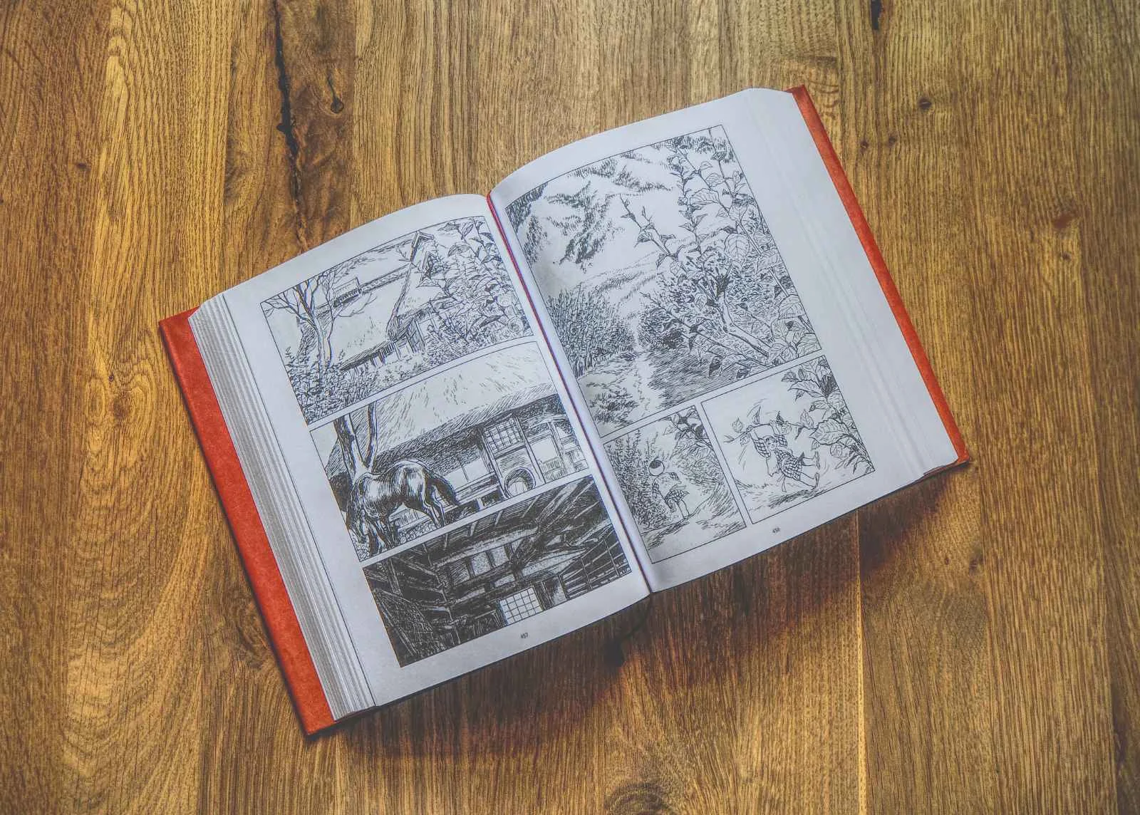 Ein aufgeschlagenes Buch mit schwarz-weiß illustrierten Comic-Panels liegt auf einer Holzfläche.