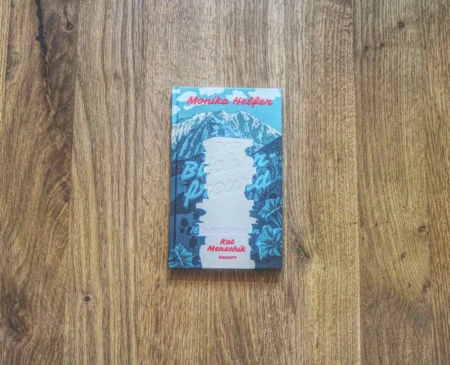 Ein Buch mit dem Titel "Der Bücherfreund" von Monika Helfer liegt auf einer Holzfläche. Der Einband zeigt blaue und weiße Illustrationen mit rotem und weißem Text.