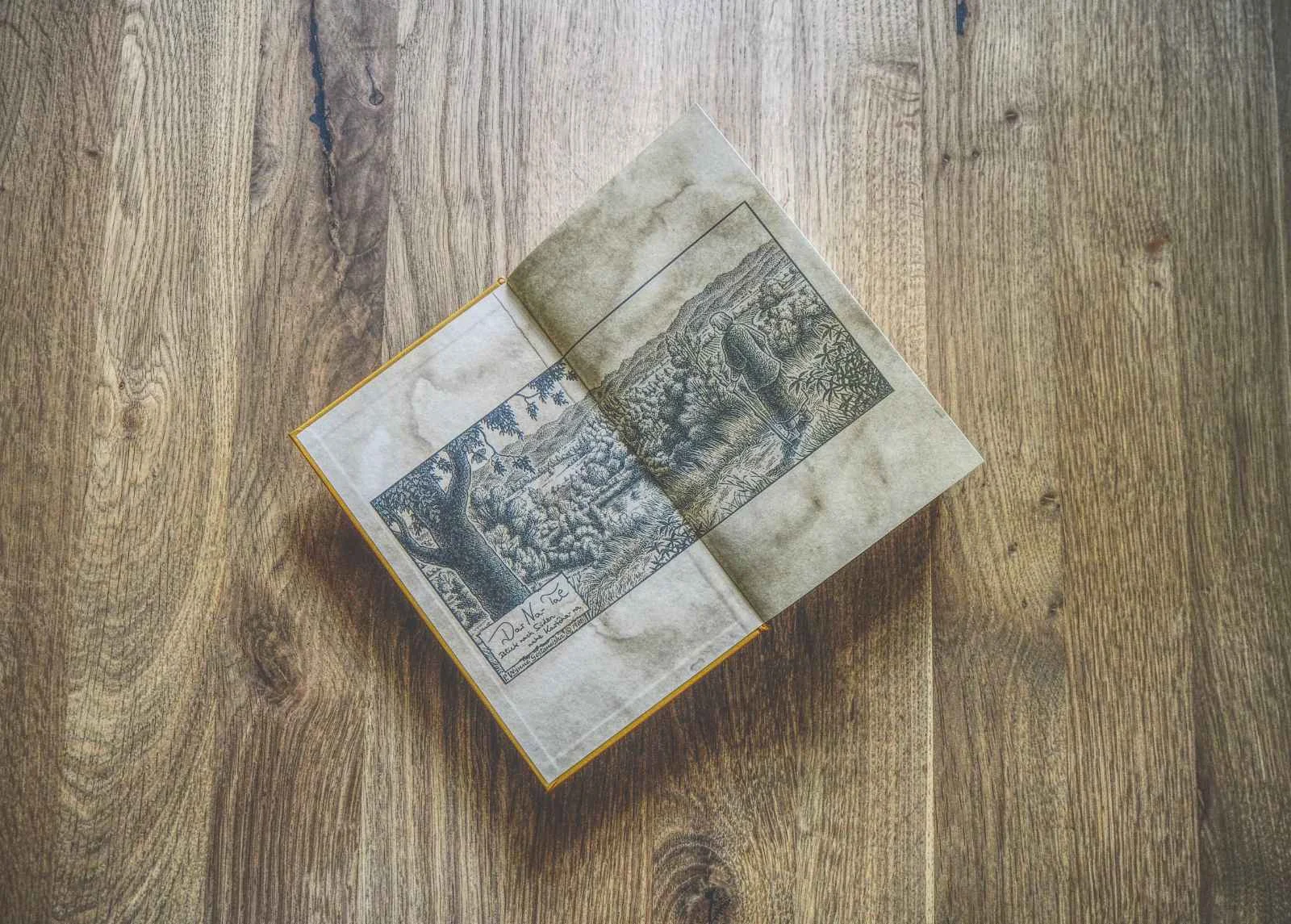 Ein altes Buch liegt aufgeschlagen auf einer hölzernen Unterlage und zeigt auf beiden Seiten eine detaillierte Schwarz-Weiß-Illustration einer Landschaft.